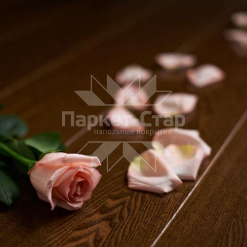 Amber-Wood Ясень Шоколад Amber-Wood Ясень Шоколад