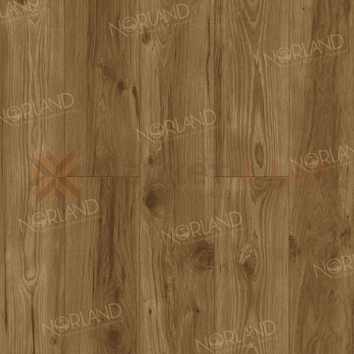 Ламинат Norland Elegant Strong Дуб Корсика LF302-18 Ламинат Norland Elegant Strong Дуб Корсика LF302-18